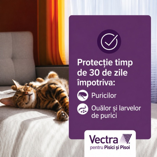 Vectra Felis Soluție Spot-On pentru Pisici – Tratament Eficient Împotriva Puricilor